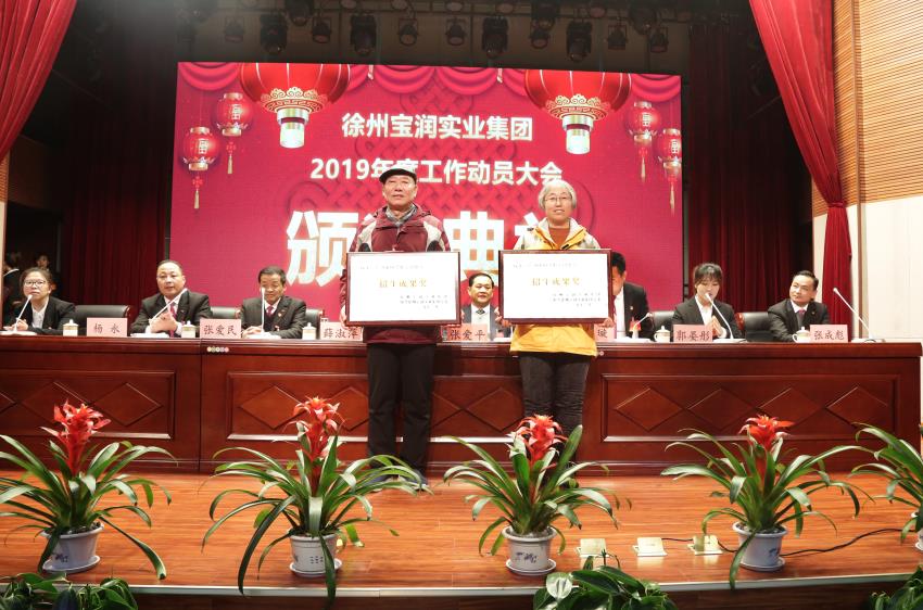 星空官网2019年度工作动员大会---集团公司领导为先进单位和先进个人代表颁奖
